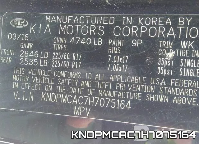 KNDPMCAC7H7075164_9.webp