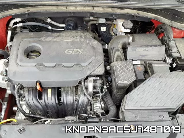 KNDPN3AC5J7487019_7.webp