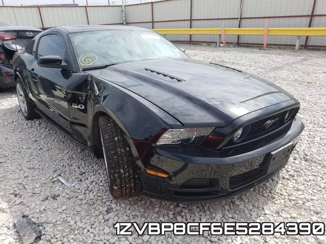 1ZVBP8CF6E5284390