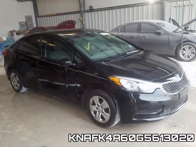 KNAFK4A60G5613020