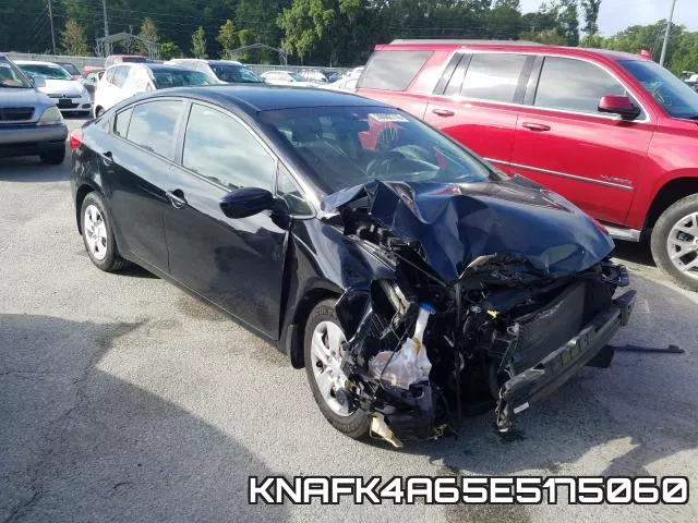 KNAFK4A65E5175060