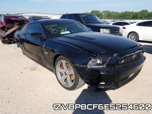 1ZVBP8CF6E5254600