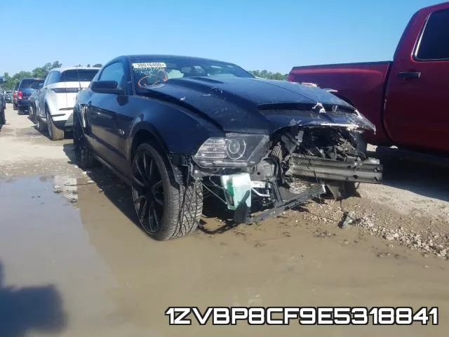 1ZVBP8CF9E5318841