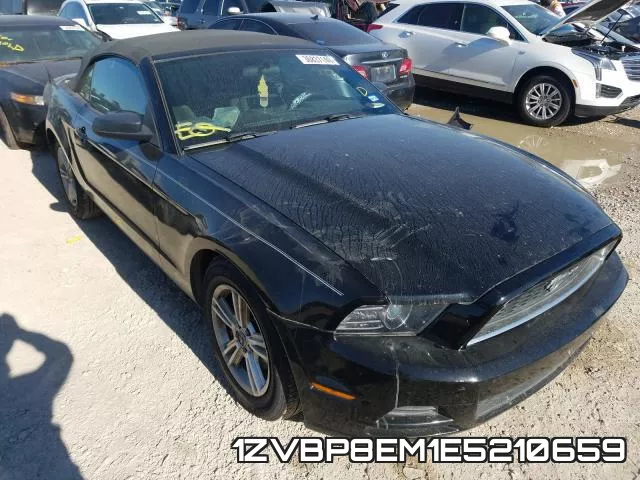 1ZVBP8EM1E5210659