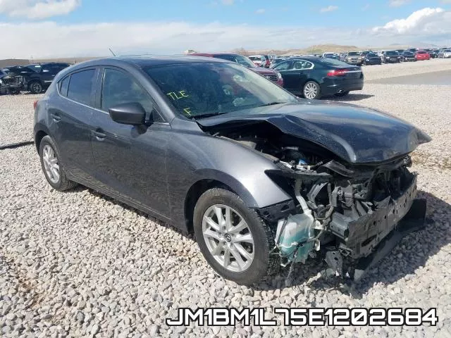 JM1BM1L75E1202684
