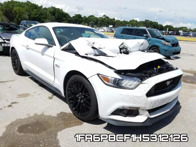 1FA6P8CF1H5312126_1.webp