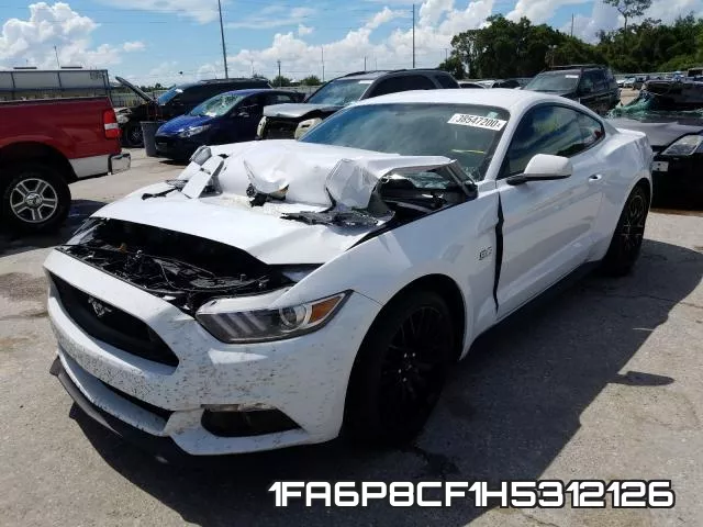 1FA6P8CF1H5312126_2.webp