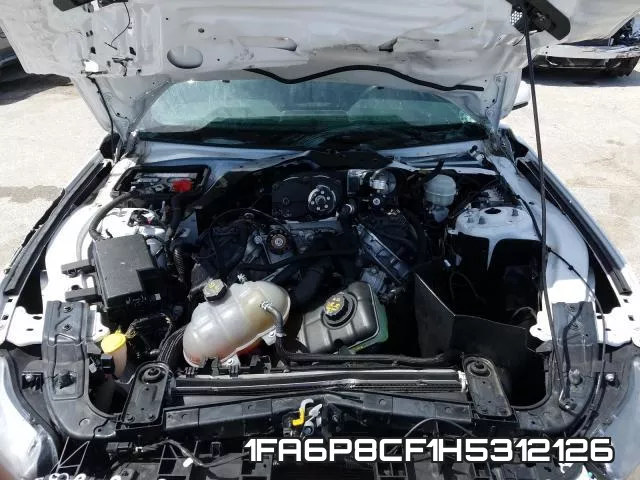 1FA6P8CF1H5312126_7.webp