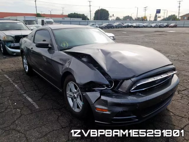 1ZVBP8AM1E5291801