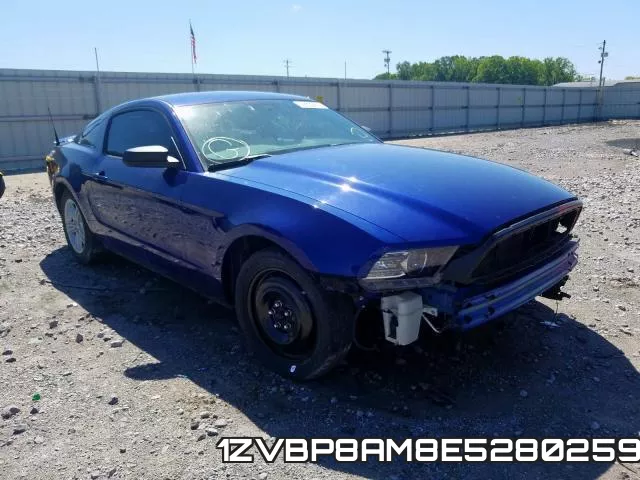 1ZVBP8AM8E5280259