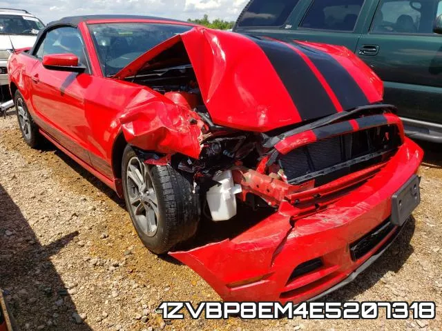 1ZVBP8EM4E5207318