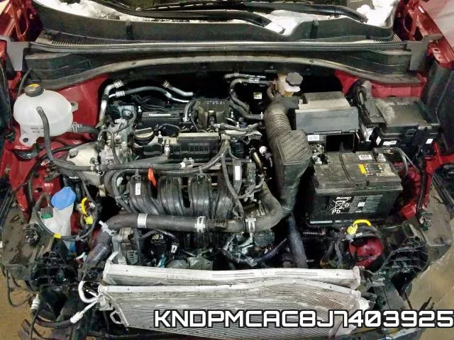 KNDPMCAC8J7403925_7.webp
