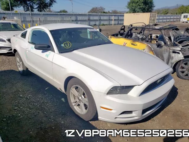 1ZVBP8AM6E5250256