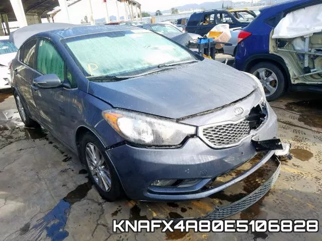 KNAFX4A80E5106828