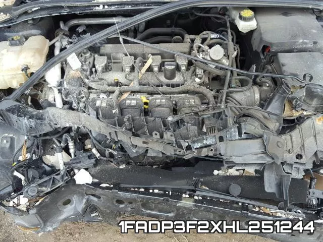 1FADP3F2XHL251244_7.webp