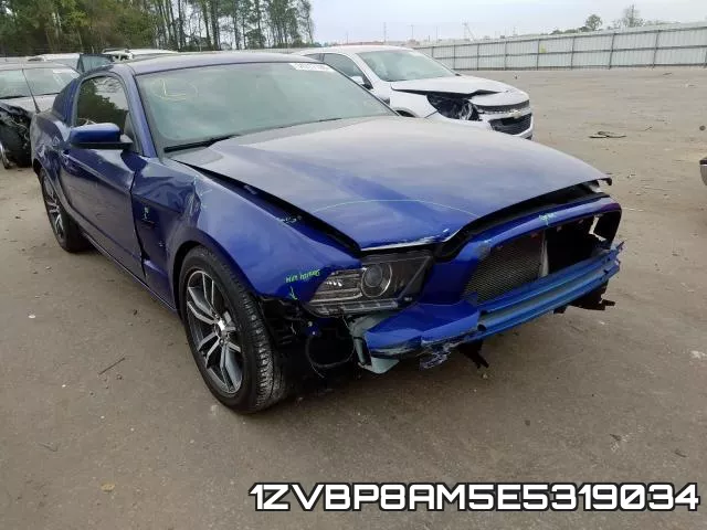 1ZVBP8AM5E5319034