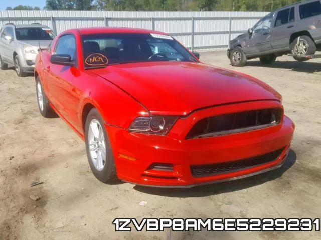 1ZVBP8AM6E5229231