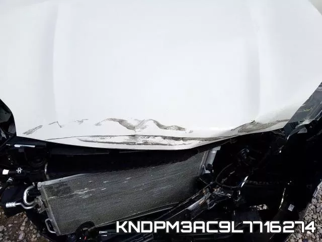 KNDPM3AC9L7716274_7.webp