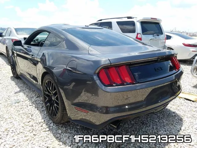 1FA6P8CF1H5213256_3.webp