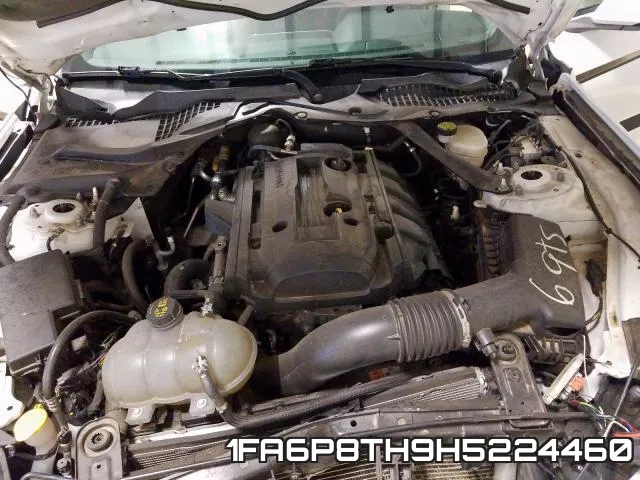 1FA6P8TH9H5224460_7.webp