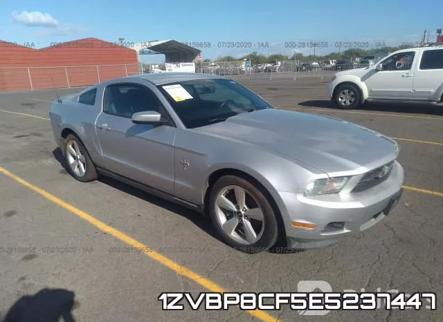 1ZVBP8CF5E5237447