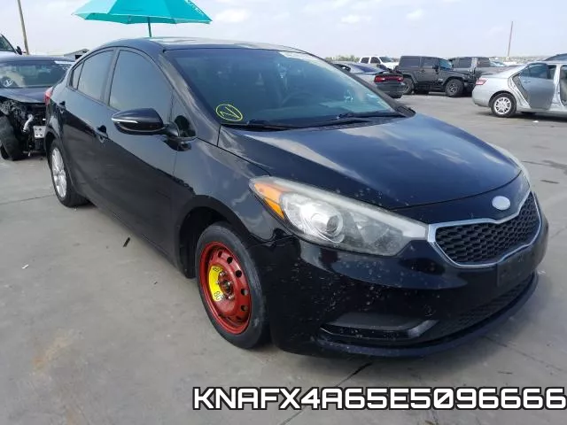 KNAFX4A65E5096666