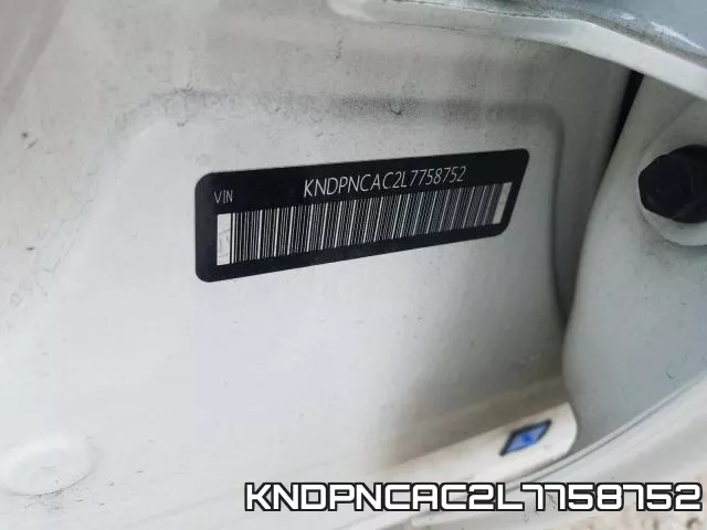 KNDPNCAC2L7758752_10.webp