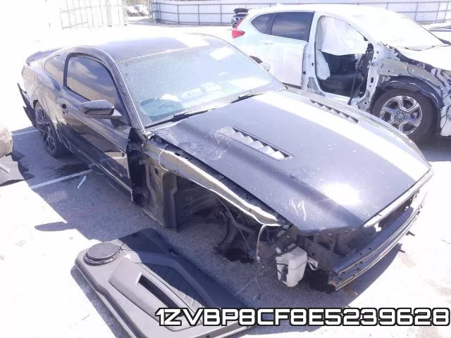 1ZVBP8CF8E5239628