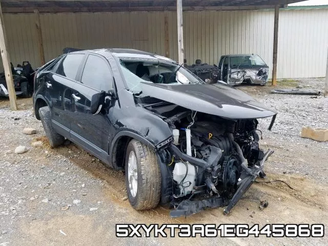 5XYKT3A61EG445868