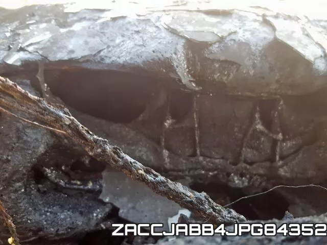 ZACCJABB4JPG84352_8.webp