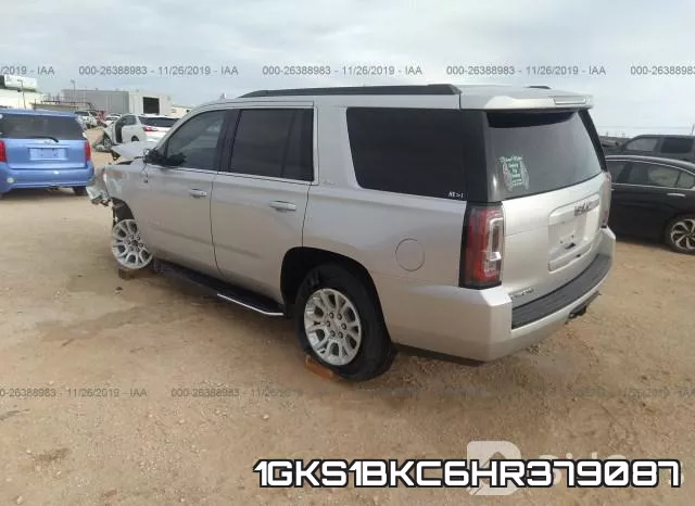 1GKS1BKC6HR379087_3.webp