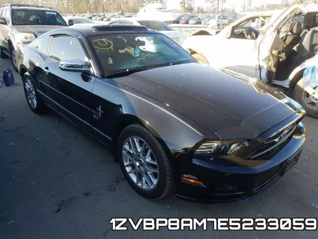 1ZVBP8AM7E5233059