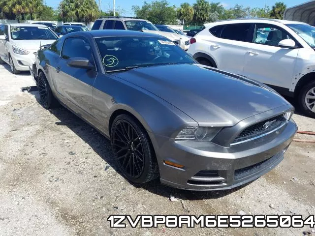 1ZVBP8AM6E5265064