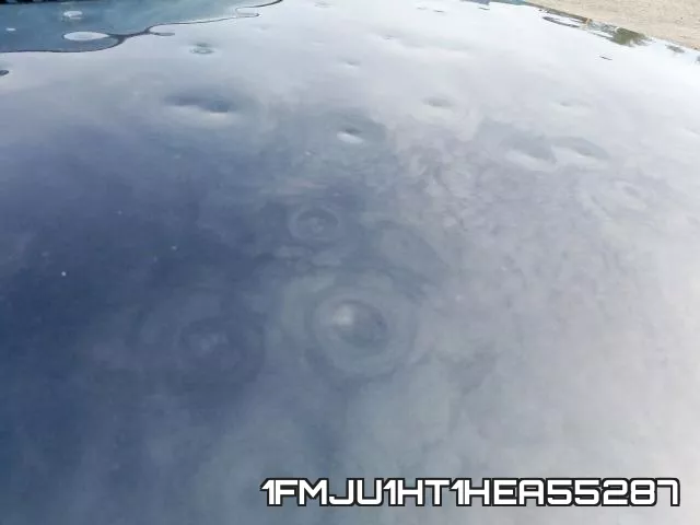 1FMJU1HT1HEA55287_9.webp