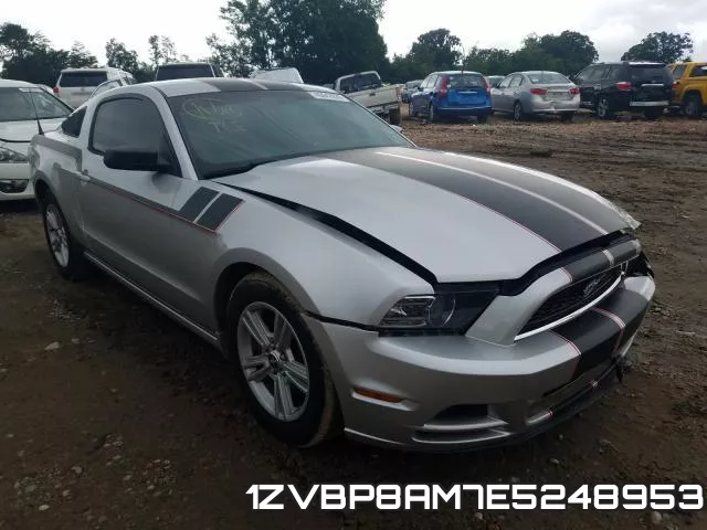 1ZVBP8AM7E5248953