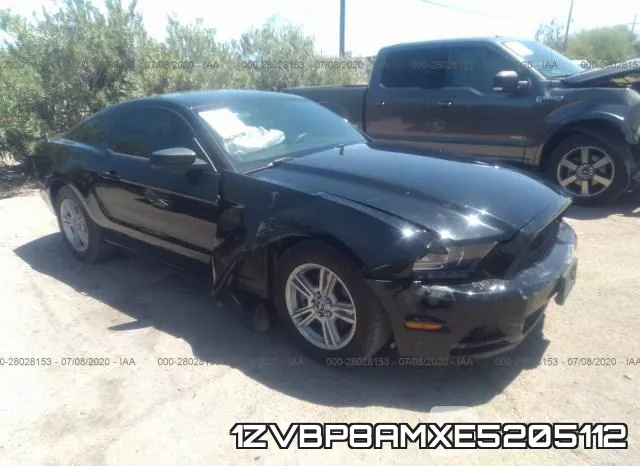 1ZVBP8AMXE5205112