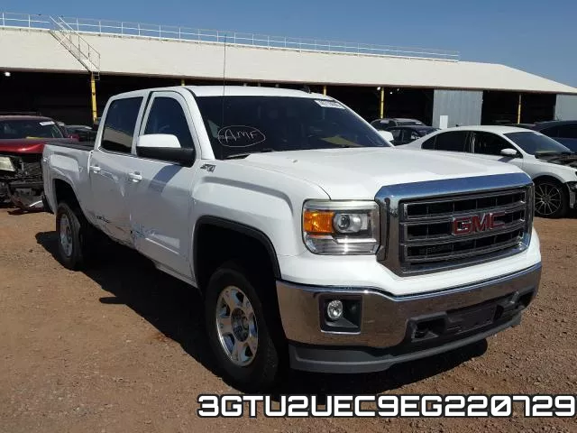 3GTU2UEC9EG220729