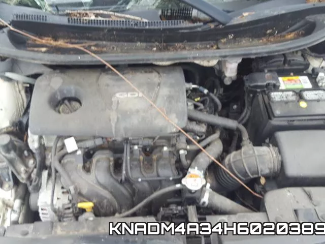 KNADM4A34H6020389_7.webp