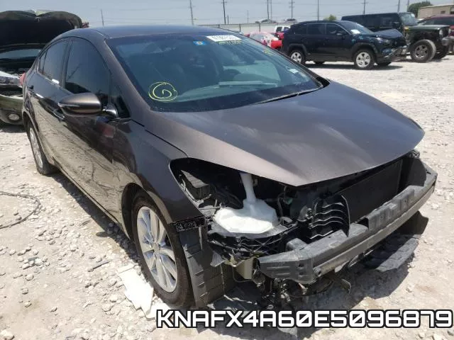 KNAFX4A60E5096879