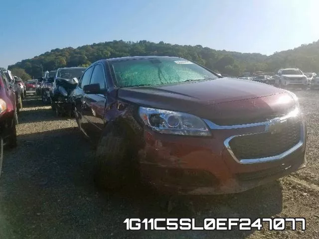 1G11C5SL0EF247077
