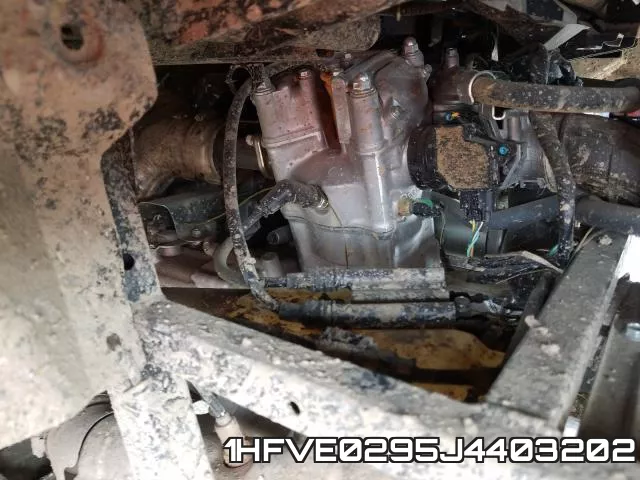 1HFVE0295J4403202_7.webp