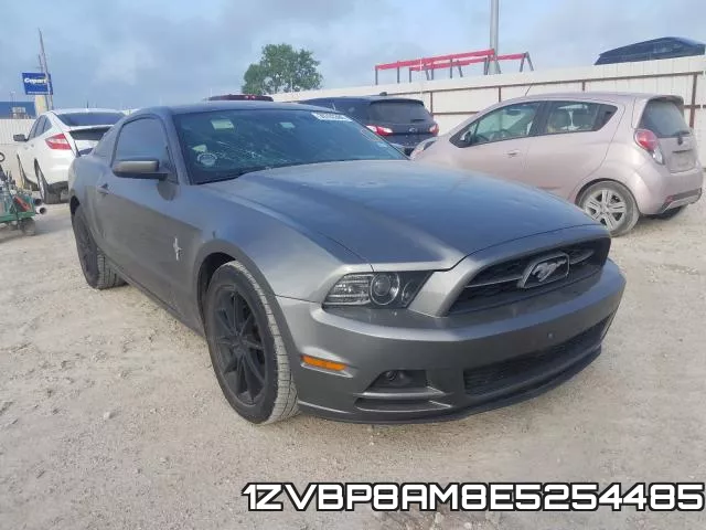 1ZVBP8AM8E5254485