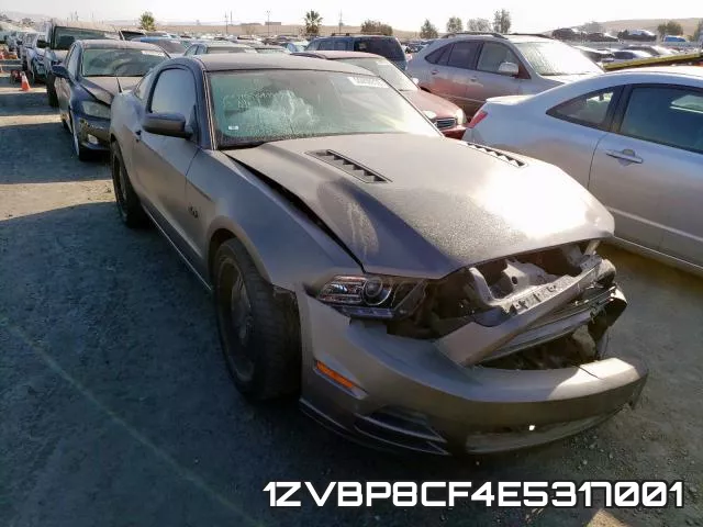 1ZVBP8CF4E5317001