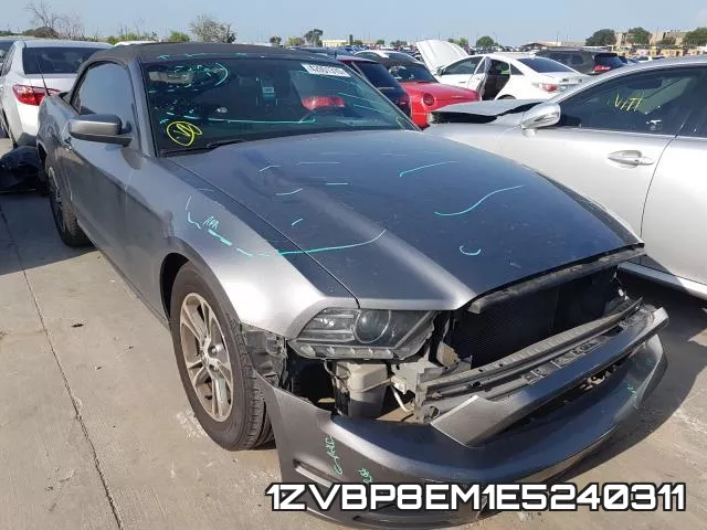 1ZVBP8EM1E5240311