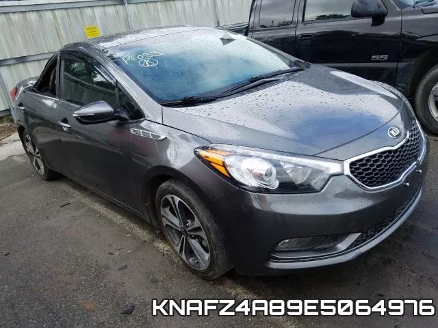 KNAFZ4A89E5064976