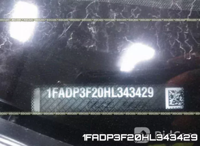 1FADP3F20HL343429_9.webp