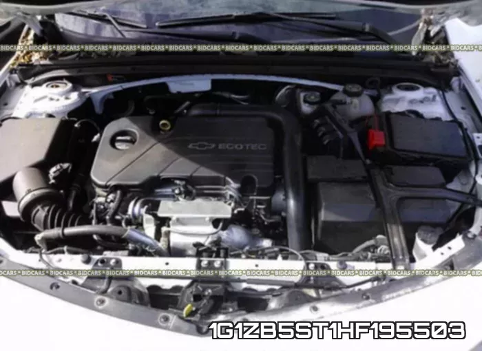 1G1ZB5ST1HF195503_10.webp