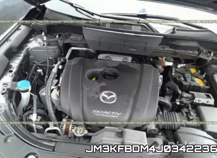 JM3KFBDM4J0342236_10.webp