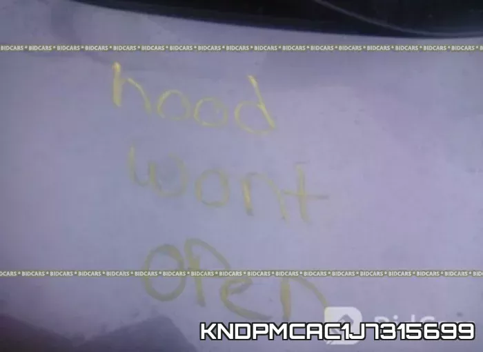 KNDPMCAC1J7315699_10.webp