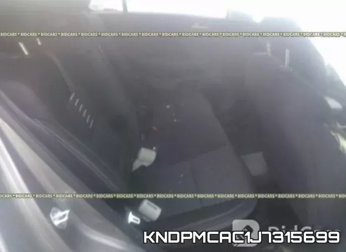 KNDPMCAC1J7315699_8.webp
